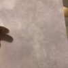 spice paper